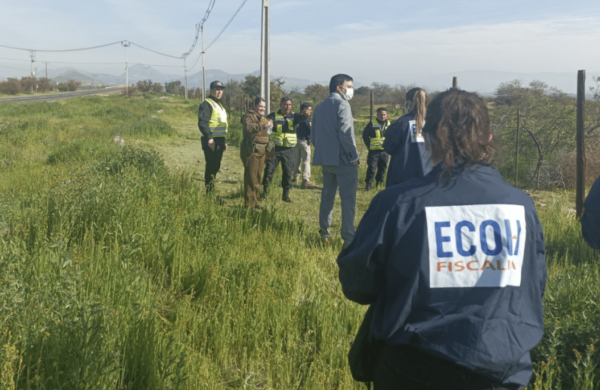 Comisión de Agricultura aprueba texto que agrava sanciones por delitos en zonas rurales | Abogados Puerto Montt - Bufete de Abogados Puerto Montt